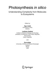 Photosynthesis in silico Understanding Complexity from Molecules to Ecosystems  Cover Image
