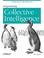 Go to record Programming collective intelligence : building smart web 2...
